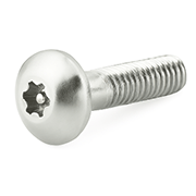 Tamper Resistant Bolt