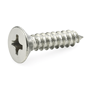 Self Tapping Screw
